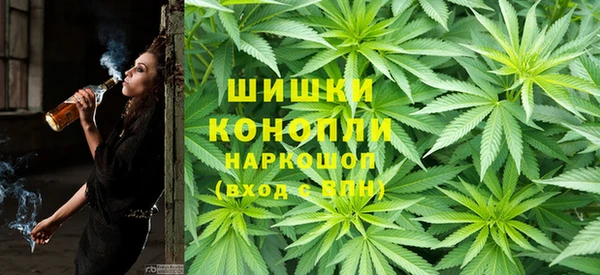 эйфоретик Арсеньев