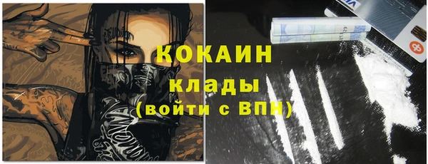 эйфоретик Арсеньев