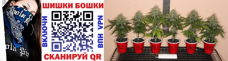 Бошки Шишки сатива hydra зеркало Усть-Катав закладки